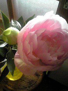 100528_065401 100528_065401